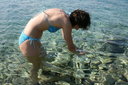 gal/cro 08/_thb_small-IMG_4959.JPG